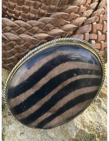 Cinturón Tiger